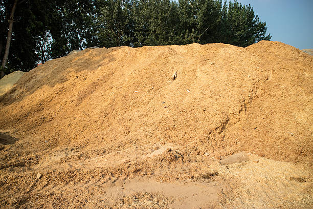 istock Biomass from wood waste, pelets, woodchip 636481126