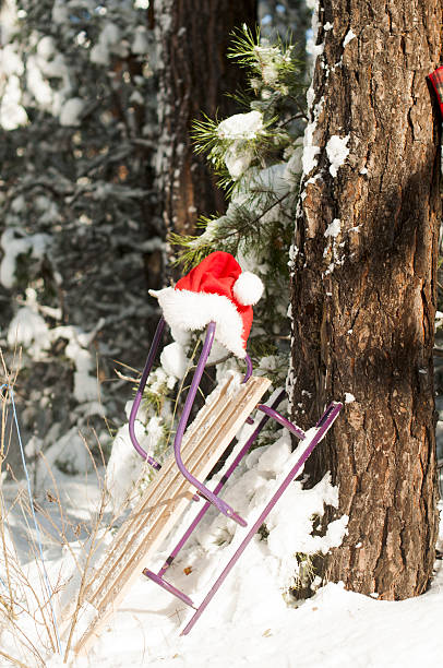 istock sleigh with Santa Claus hat 636481834