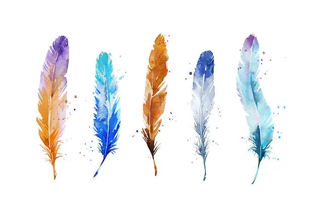 Photo of Set of watercolor feathers, hand painted