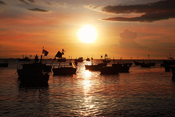 Silhouettes of Vietnamese fishing boat-baskets Dark silhouettes of Vietnamese round fishing boat-baskets in the setting sun. Mui Ne, Vietnam. mui ne bay photos stock pictures, royalty-free photos & images
