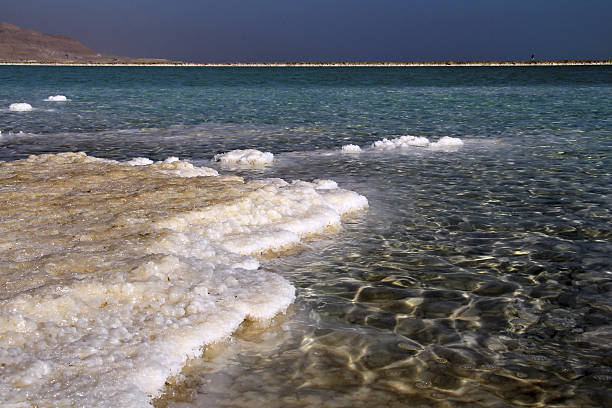 istock coastline from salt in the Dead Sea 636487866