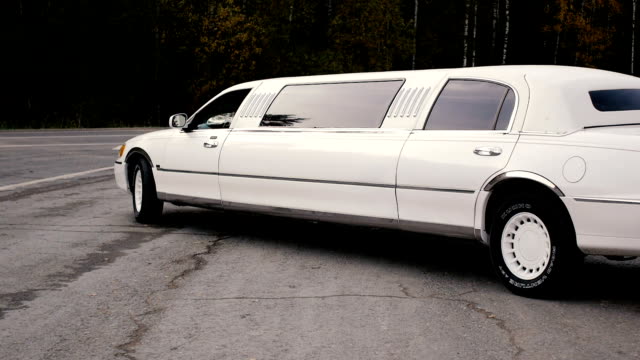 the white limousine is developed to the road near the wood