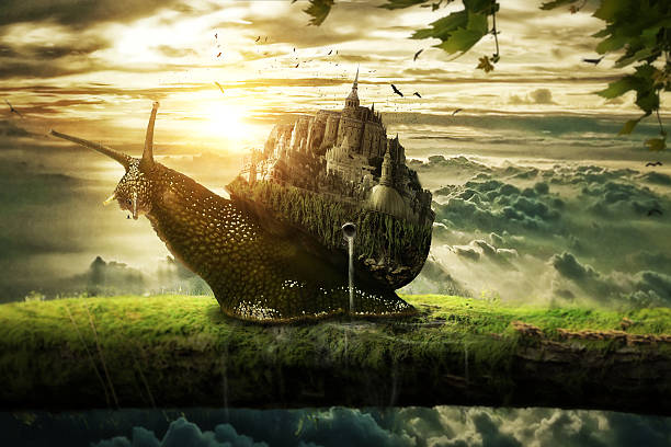 The kingdom of snail