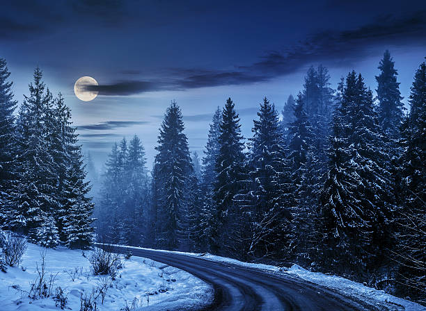 istock snowy road through spruce forest at night 636493768