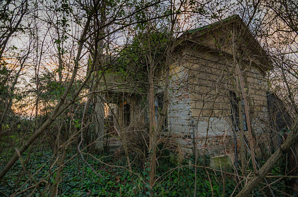istock old hunting lodge in forest 636501048