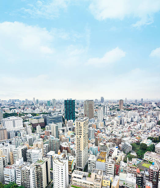 istock Panoramic modern city aerial view in Tokyo, Japan 636508266