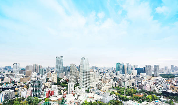 istock Panoramic modern city aerial view in Tokyo, Japan 636508482