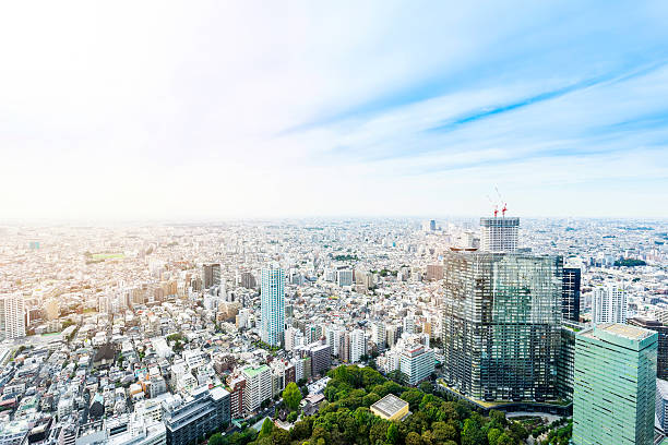 istock Panoramic modern city view in Tokyo, Japan 636508822