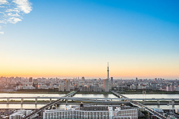 istock panoramic modern city aerial view with tokyo skytree 636509934