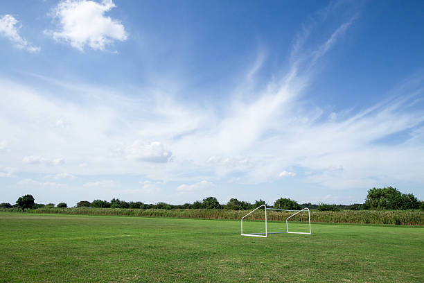 istock Green trees in beautiful park over blue sky 636510966