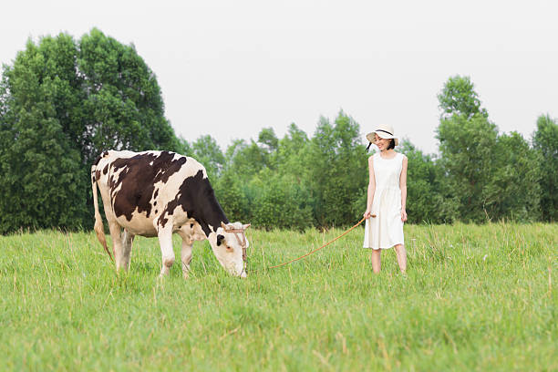china beautiful rural girl in green pastures, grazing cattle and sheep.