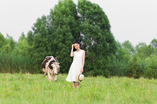 china beautiful rural girl in green pastures, grazing cattle and sheep.
