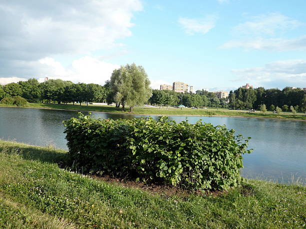 istock summer in city park 636516070