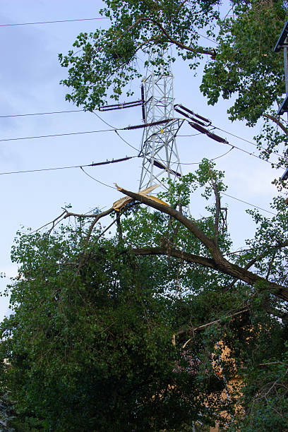 istock Damaged tree after storm and high voltage energy pole 636517300