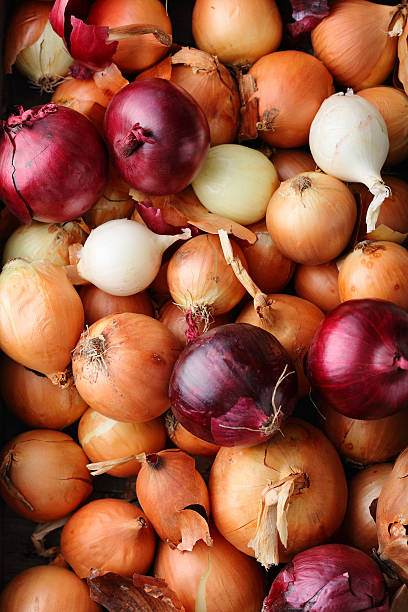 istock mix of onions top view 636521498