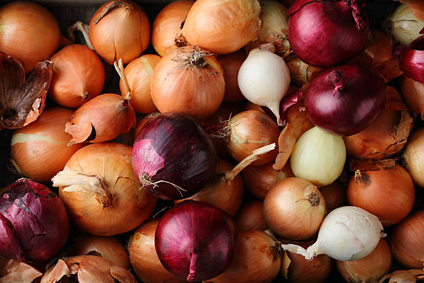 gruppo di cipolle vista dall'alto - healthy eating onion vegetable ripe foto e immagini stock