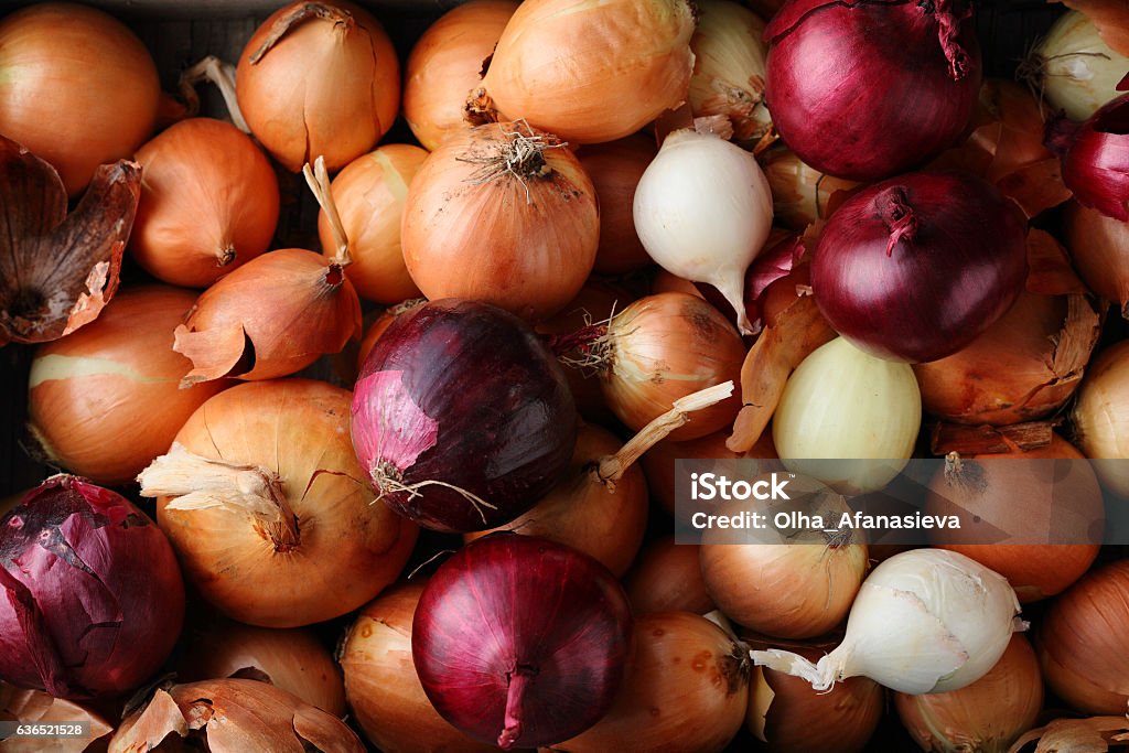 Group of onions top view Onion Stock Photo