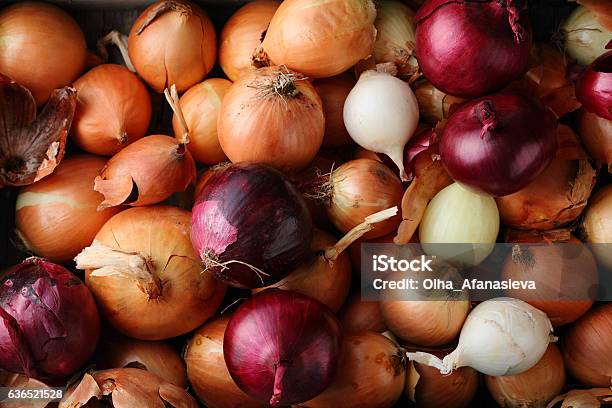 Group Of Onions Top View Stock Photo - Download Image Now - Onion, Close-up, Cooking