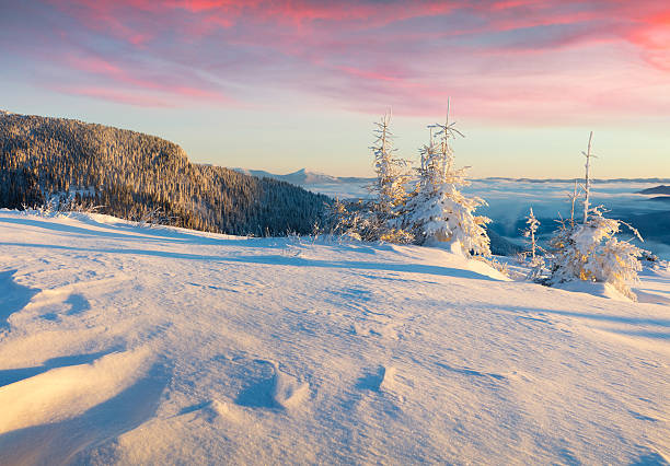 istock Bright winter sunrise in Carpathian mountains with snow covered 636524054