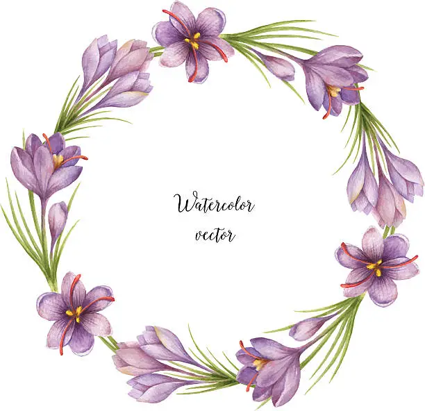 Vector illustration of Watercolor vector round frame of saffron.