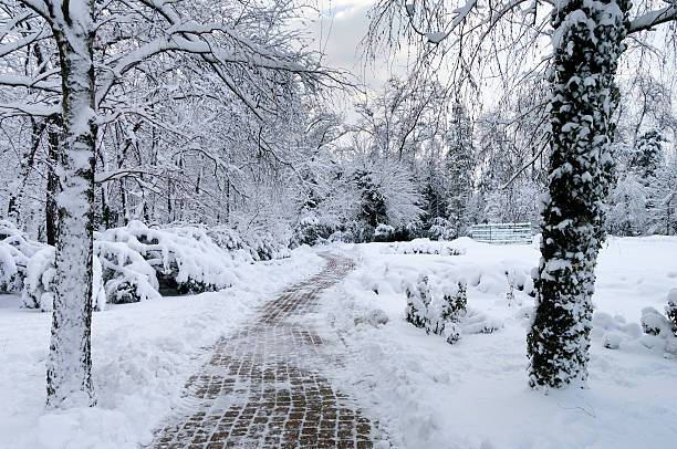 A beautiful and pleasant winter day in the park.