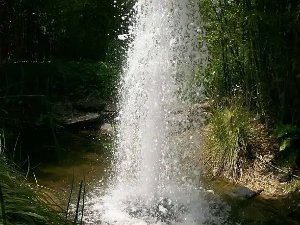 Water-jet on a lake