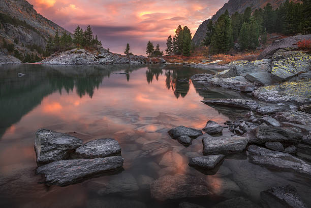 istock Mountain Lake Sunset Coast With Pine Forest And Rocks, Altai 636532368