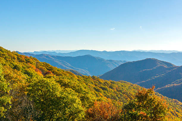 istock Great Smoky Mountains Colorful Fall Display 636532466