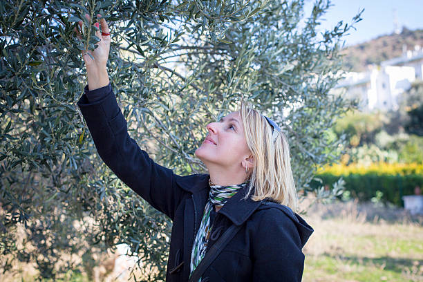 istock Beautiful woman with olive tree 636534082