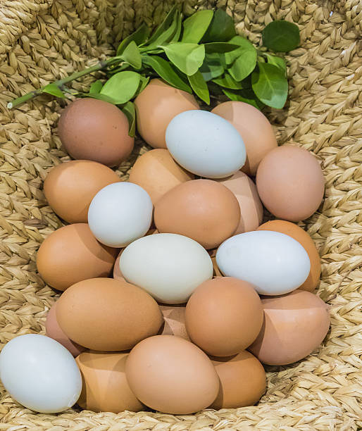 huevos en la cesta - eggs farm basket dairy farm fotografías e imágenes de stock