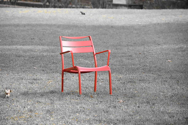 chair to sit in nature