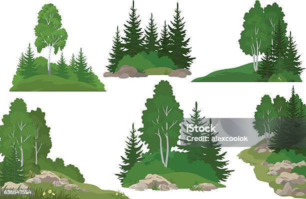 Landscapes With Trees And Rocks Stock Illustration - Download Image Now - Forest, Bush, Spruce Tree