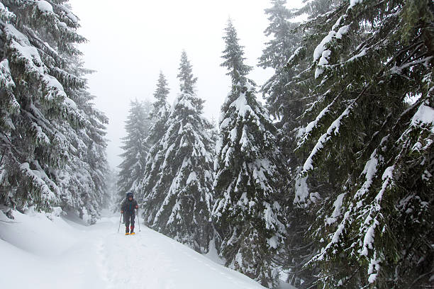 istock Man is hiking in winter forest on cloudy day 636547476