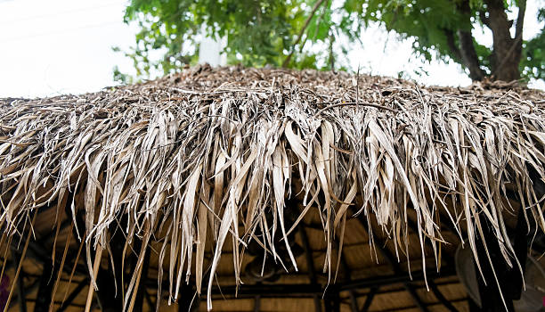 istock dry banana leaves latter 636550456