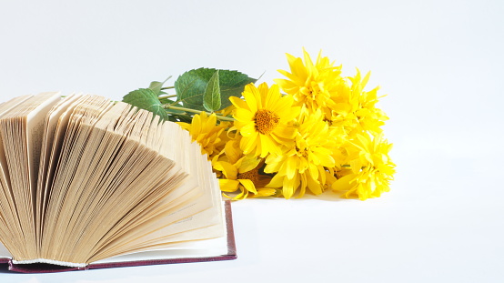 bouquet of yellow flowers isolated on white batskground book with still life