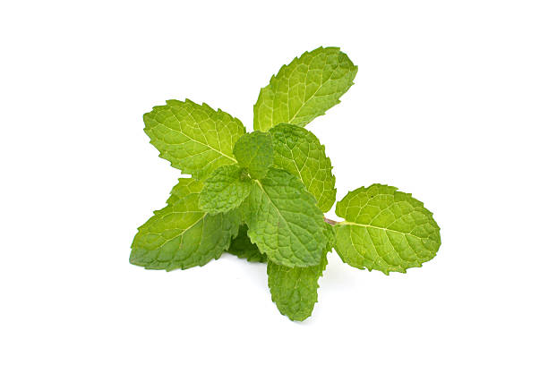 istock Close up fresh green mint leaves 636554174