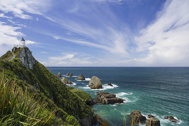 istock Nugget Point in Southern New Zealand 636557762