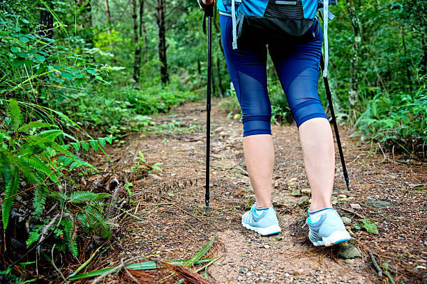 istock Woman legs hiking in the forest 636561684