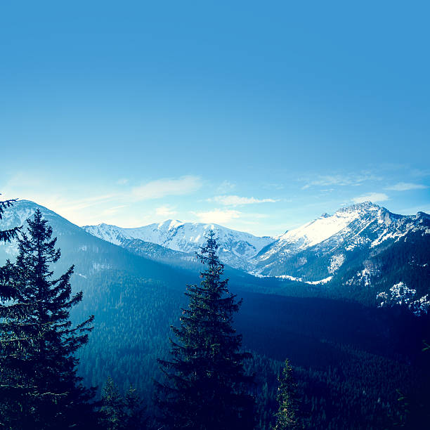 istock Forests and the Tatra mountains peaks 636561698