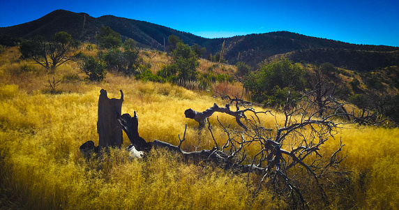 View of Apache of apache peak looking west. Santa Catalina Foothills. 