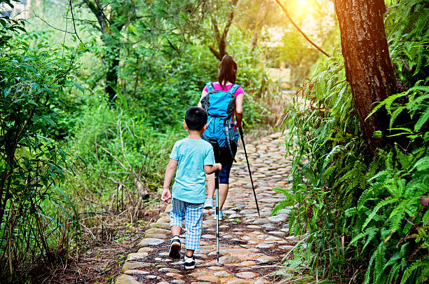 istock Mother and son hiking in forest 636562364