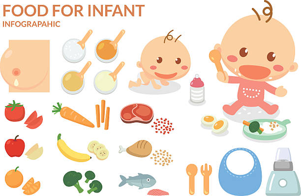 ilustrações, clipart, desenhos animados e ícones de alimentos para crianças. alimentos infantis. alimente o bebê com cuidado. - chicken baby chicken animal egg animal