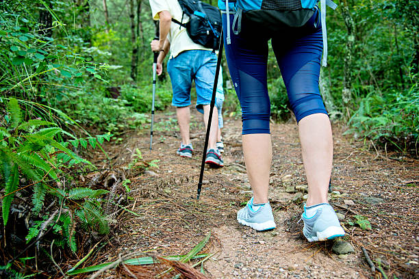 istock Asian family hiking in forest 636563118