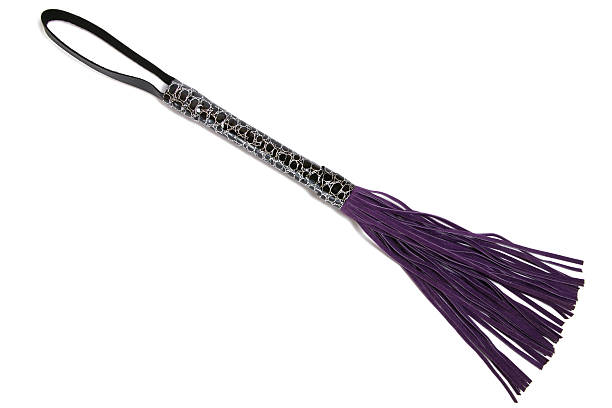 purple leather fetish whip on white - bullwhip imagens e fotografias de stock