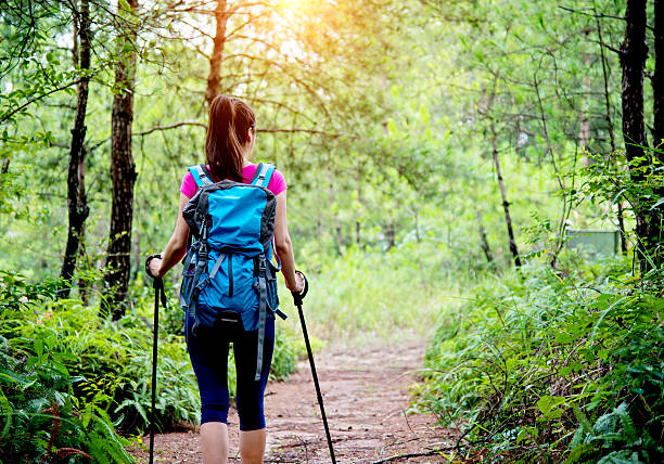 istock Young female hiker with backpack in the woods 636564240