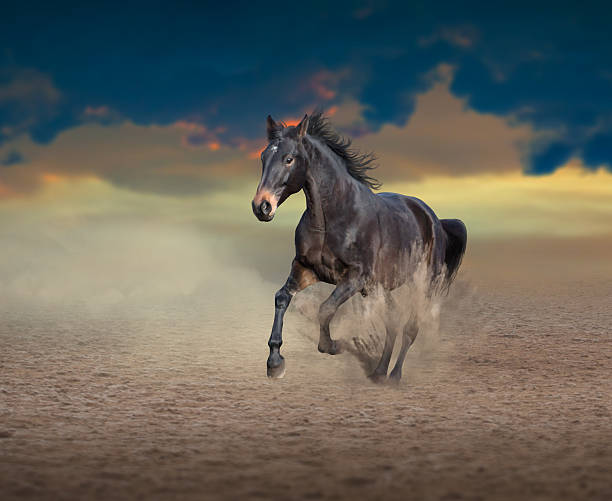 istock Brown horse running on sky background 636564588