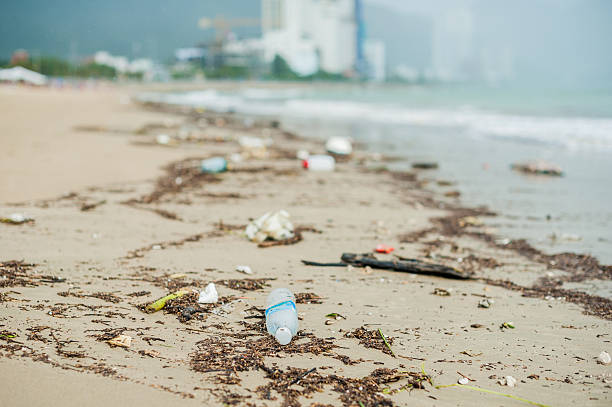 istock Beach pollution. Plastic bottles and other trash on sea beach 636566996