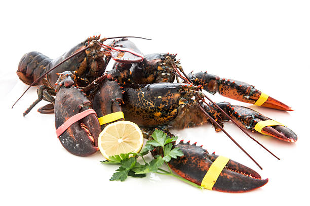 istock very good fresh european lobster , 636568200