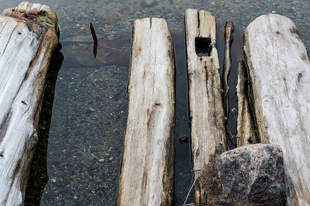 istock old logs and iron on the edge of a pond 636570158