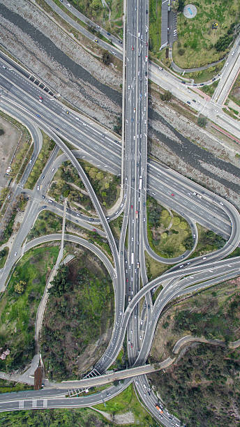 istock concrete roots in the land 636570636